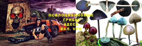 соль ск Алзамай