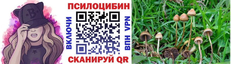 Псилоцибиновые грибы Psilocybine cubensis  Яблоновский 